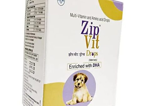 Zipvit Drops Multivitamin & Amino Acid Drop with DHA 30ml (Pack of 3) Online