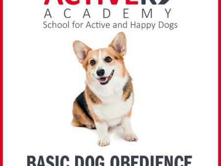 Active K9 Academy Basic Dog Obedience Group Class For Discount