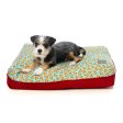 15% OFF: FuzzYard Big Dreamer Pillow Dog Bed (Pizza Lyf) Hot on Sale