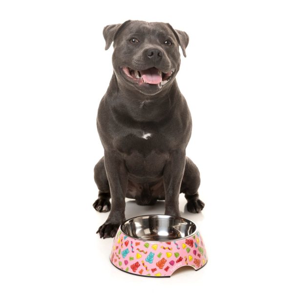 15% OFF: FuzzYard Easy Feeder Dog Bowl (Jelly Bears) Supply